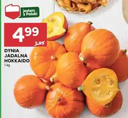 Stokrotka Dynia jadalna hokkaido Stokrotka oferta