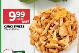 Stokrotka Kurki świeże Stokrotka oferta