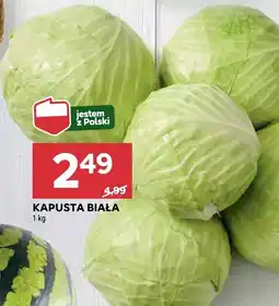 Stokrotka Kapusta biała Stokrotka oferta