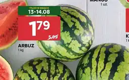 Stokrotka Arbuz Stokrotka oferta