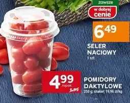Stokrotka Pomidory daktylowe Stokrotka oferta