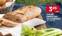Stokrotka Chleb drwalski na kamieniu Stokrotka oferta