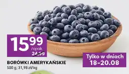 Stokrotka Borówki amerykańskie Stokrotka oferta