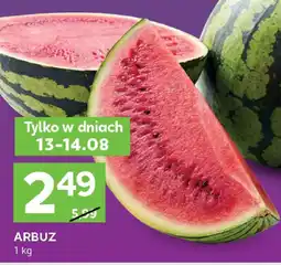 Stokrotka Arbuz Stokrotka oferta