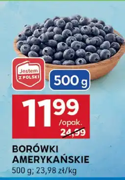 Stokrotka Borówki amerykańskie Jestem z Polski oferta