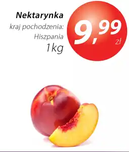 Market Point Nektarynka oferta