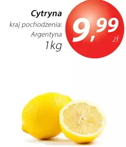 Market Point Cytryna oferta