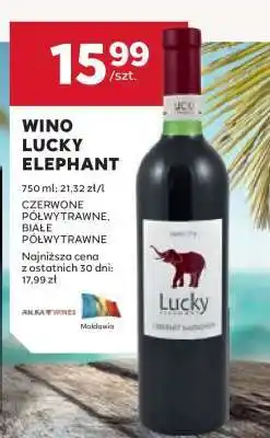 Stokrotka Market Wino Lucky Elephant oferta