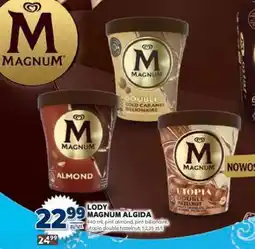 Stokrotka Market Lody MAGNUM ALGIDA oferta