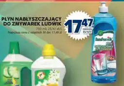 Stokrotka Market Płyn nabłyszczający do zmywarek Ludwik oferta