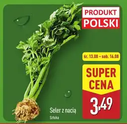 ALDI Seler z nacią Aldi oferta