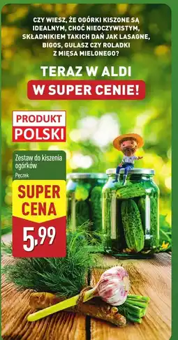 ALDI Zestaw do kiszenia ogórków, pęczek Aldi oferta
