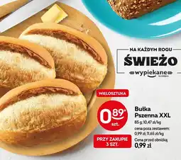 Żabka Bułka pszenna XXL Żabka oferta