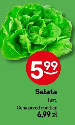 Żabka Sałata Żabka oferta
