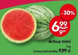 Żabka Arbuz mini Żabka oferta