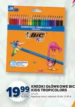 Stokrotka Market Kredki ołówkowe BIC KIDS TROPICOLORS oferta