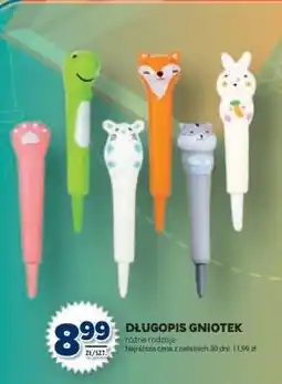 Stokrotka Market Długopis Gniotek oferta