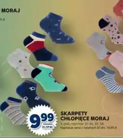 Stokrotka Market SKARPETY CHŁOPIĘCE MORAJ oferta