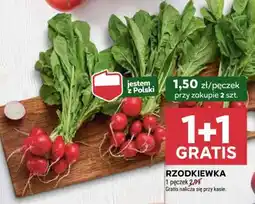 Stokrotka Market Rzodkiewka oferta