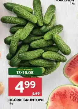 Stokrotka Market Ogórki gruntowe oferta