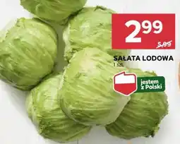 Stokrotka Market Sałata lodowa oferta