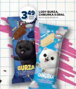 Stokrotka Market Lody Burza, Chmurka Koral oferta