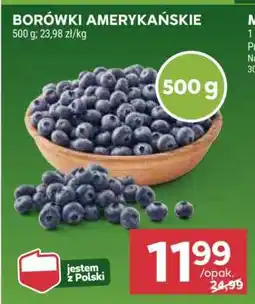 Stokrotka Market Borówki amerykańskie oferta