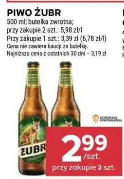 Stokrotka Market Piwo ŻUBR oferta