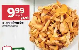 Stokrotka Market Kurki świeże oferta