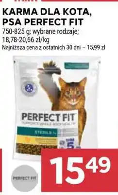 Stokrotka Market Karma dla kota / psa Perfect Fit oferta