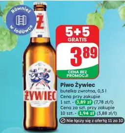 Dino Piwo Żywiec oferta