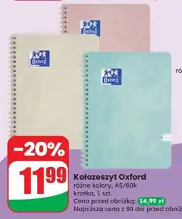 Dino Kołozeszyt Oxford oferta