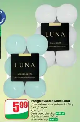 Dino Podgrzewacze Maxi Luna oferta