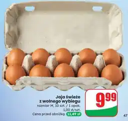 Dino Jaja świeże z wolnego wybiegu oferta