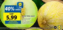 Lidl Melon Galia, luzem oferta