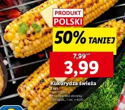 Lidl Kukurydza świeža oferta