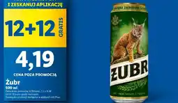 Lidl Żubr oferta