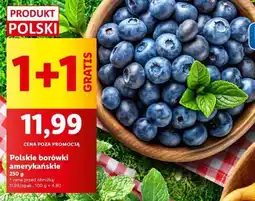 Lidl Polskie borówki amerykańskie oferta