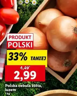 Lidl Polska cebula żółta luzem oferta