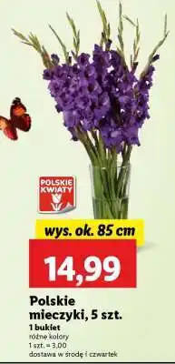 Lidl Polskie mieczyki, 5 szt oferta