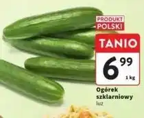 Intermarche Ogórek szklarniowy polska oferta