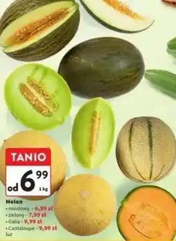 Intermarche Melon canraloupe oferta