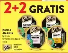 Intermarche Karma dla kota frykasy z indykiem i warzywami Sheba Sauce Collection oferta