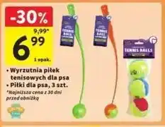 Intermarche Piłki dla psa oferta