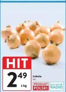 Intermarche Cebula żółta polska oferta