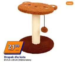 Action Drapak dla kota oferta