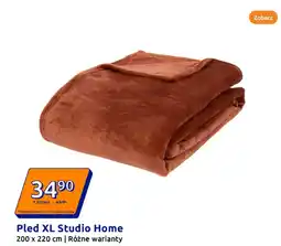 Action Pled XL Studio Home oferta