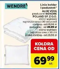 Carrefour Poduszka aloe vera 50 x 60 cm Wendre oferta