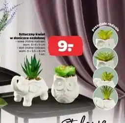 Netto Kwiat sztuczny oferta