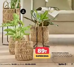 Netto Zestaw doniczek na stelażu oferta